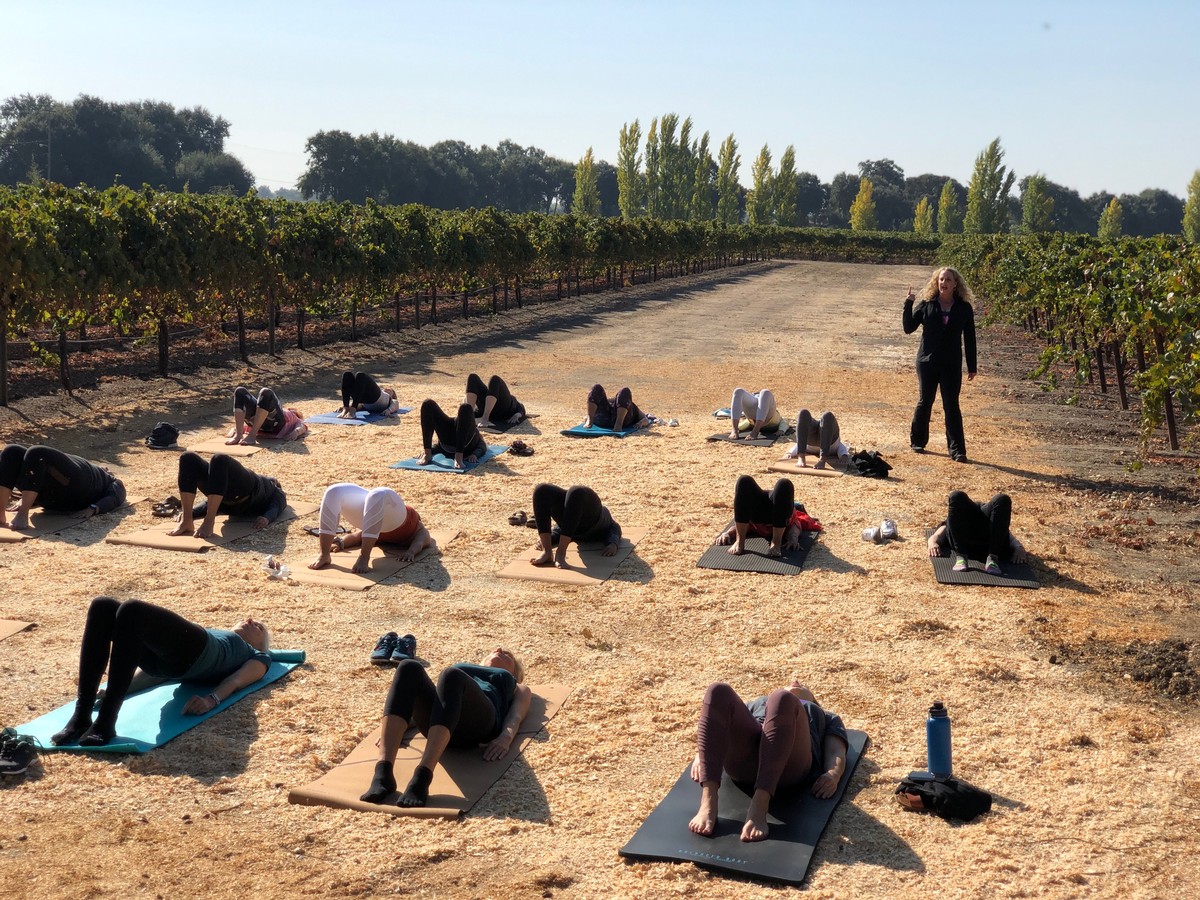 Picture of Pilates in the Vineyard led by Nancy Tenoglio