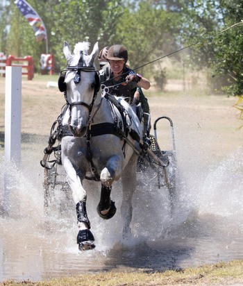 Sip at Sargent Equestrian Center
